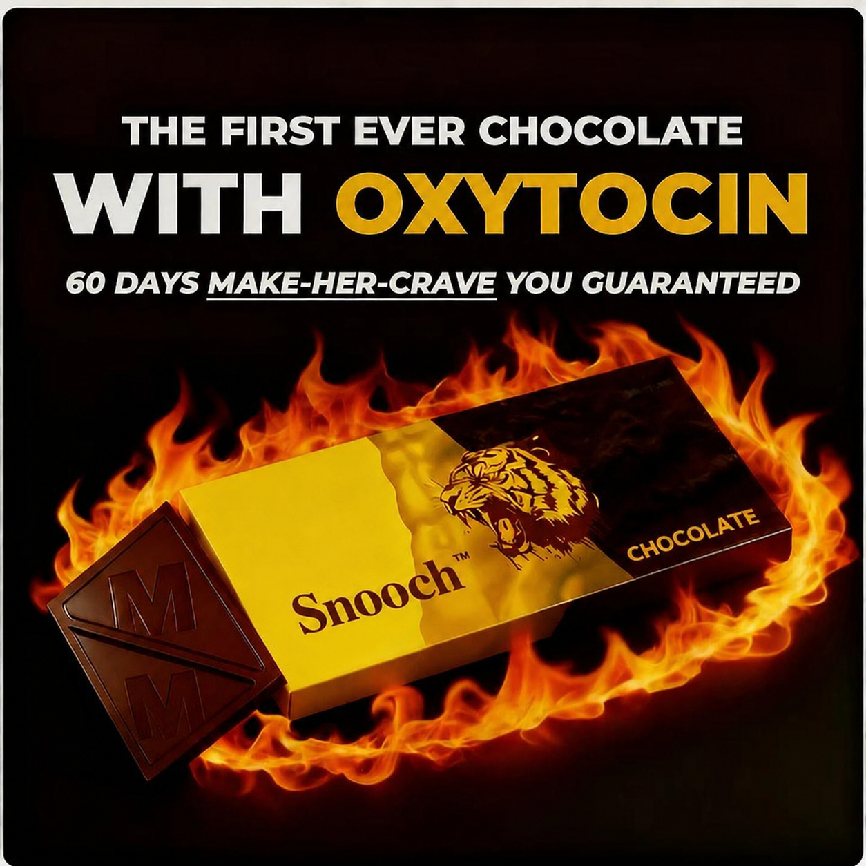The Snooch Couple Chocolate